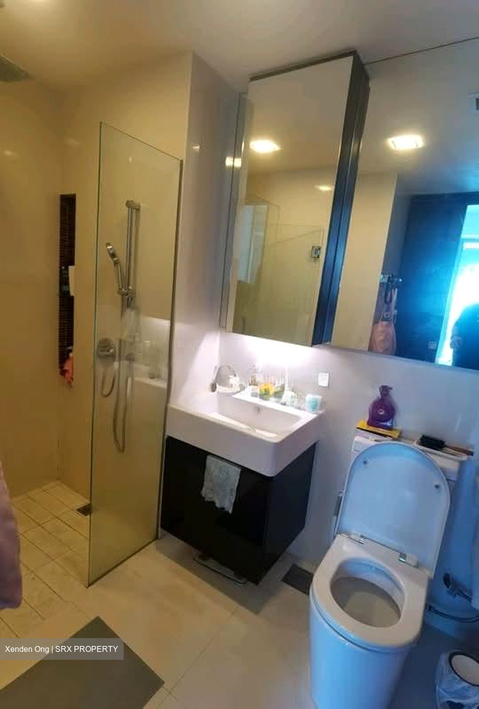 Vivace (D9), Apartment #546689551